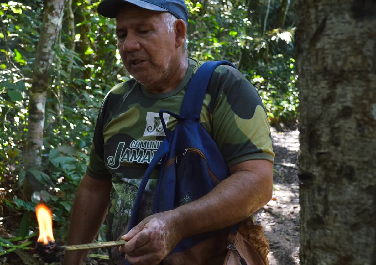 Lourenço, guia local da Trilha do Piquiá, durante explicação na floresta